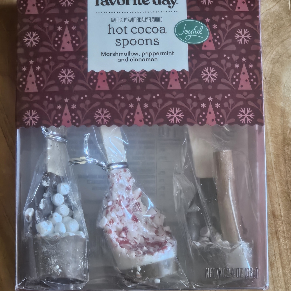 Favorite Day Hot Cocoa Spoons Set